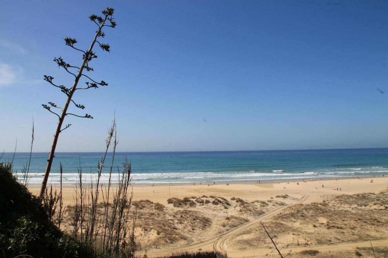Estudio En El Centro De Conil Conil De La Frontera Extérieur photo